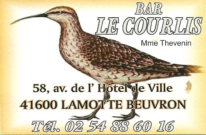 oiseau-le-courlis