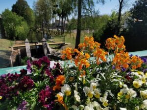 IMG_20210427_134853
