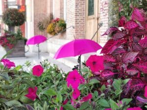 IMG_20211007_094408
